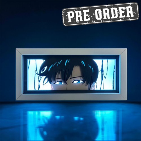 Solo Leveling Sung Jinwoo LED Light Box